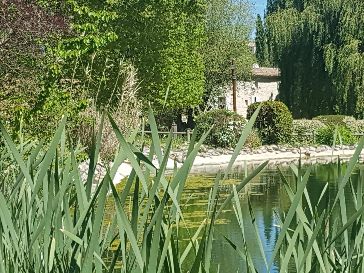 La Campagne St Lazare - Restaurant Chambres D'Hotes Piscine & Spa Forcalquier Exterior photo
